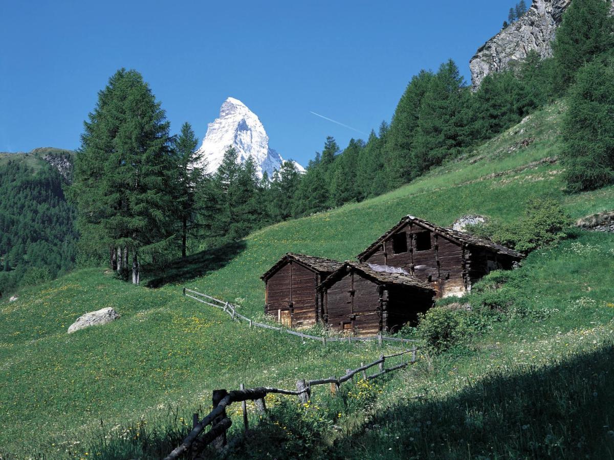 Apartment Chalet Dossen Zermatt Zewnętrze zdjęcie
