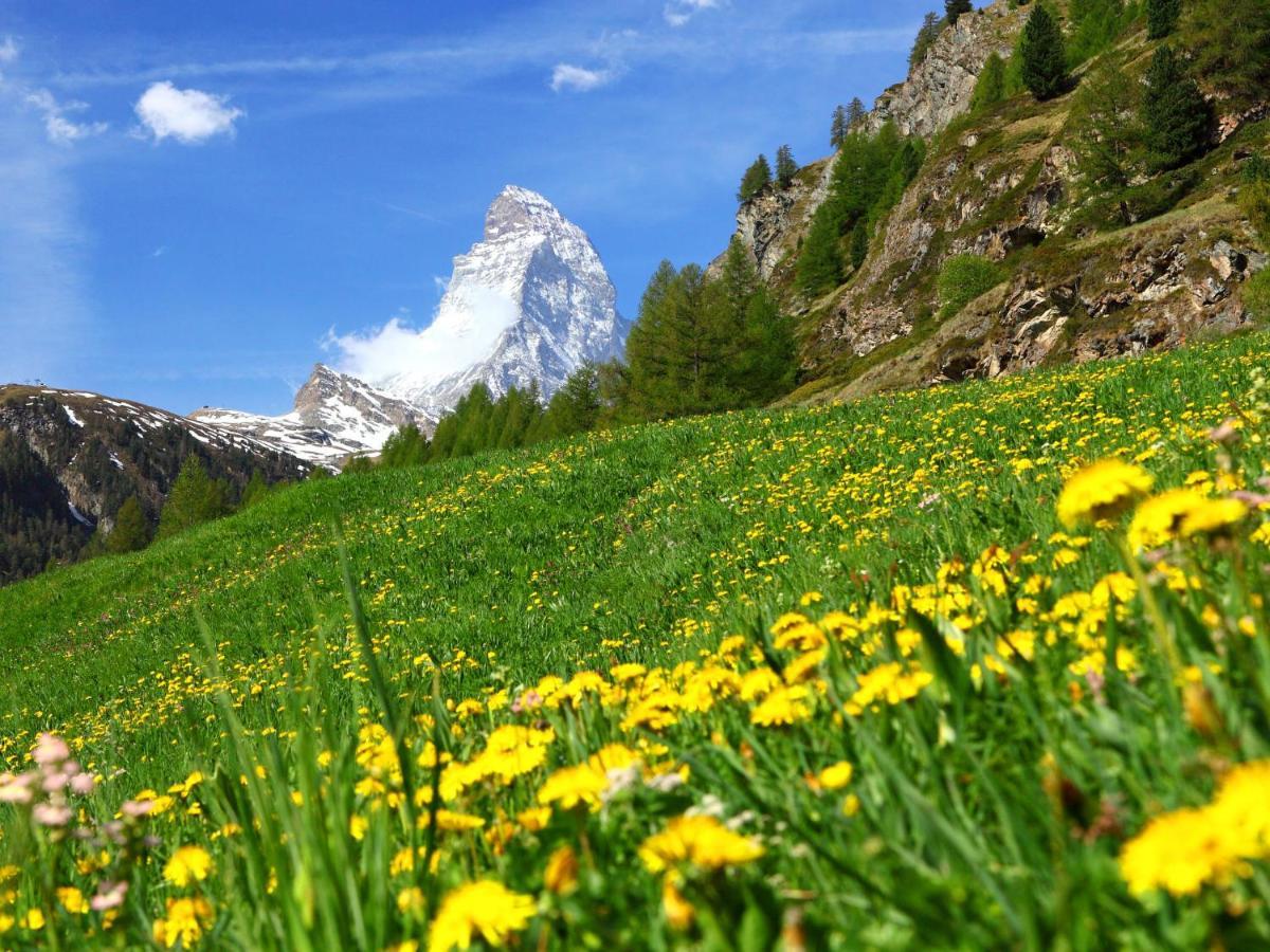 Apartment Chalet Dossen Zermatt Zewnętrze zdjęcie